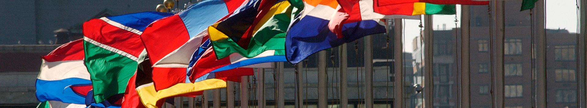 Flags of the UN member states are flapping in the wind.