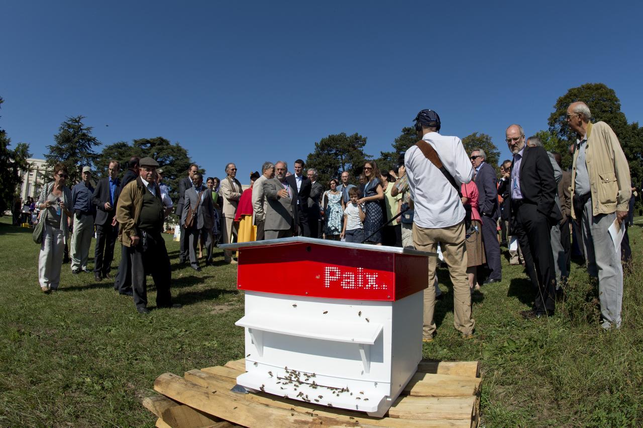 Journée mondiale des abeilles