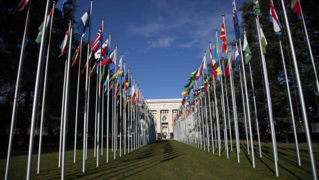 Alley of Flags