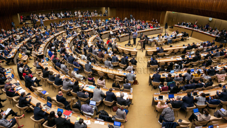 Seventy-third World Health Assembly 