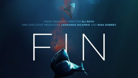 Poster du documentaire FIN