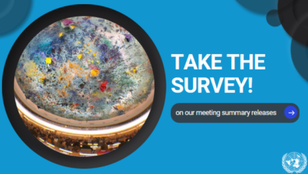 Roof of the Human Rights and Alliance of Civilizations Room, Palais des Nations 