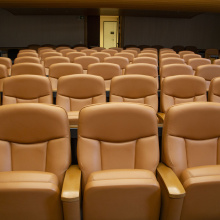 Room XIV - Cinema Room