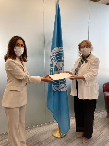 Permanent Representative of Cyprus presenting credentials to the Director-General