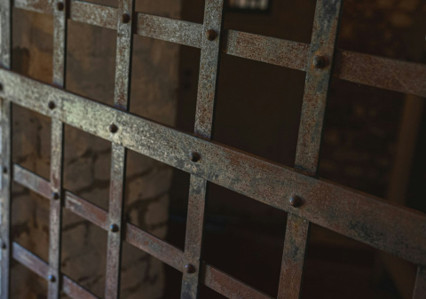 CED 20th anniversary