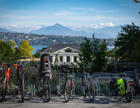 Bicycles outside building H 
