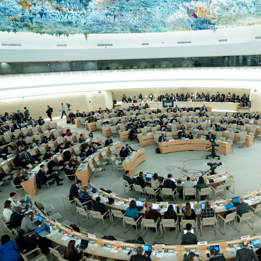 Human Rights Council