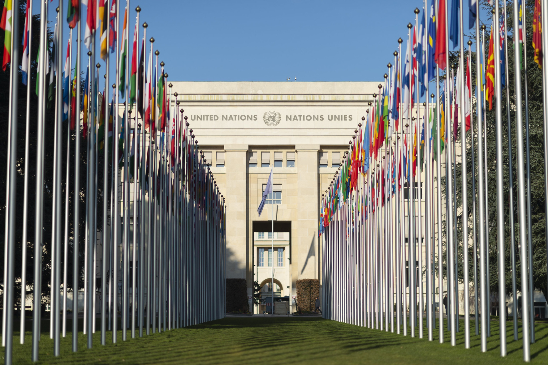 Alley of Flags