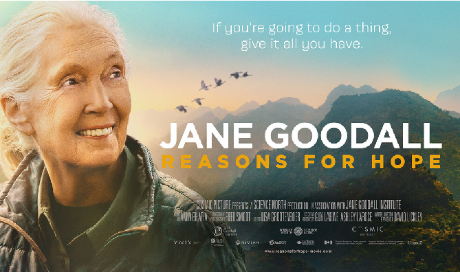 Jane Goodall (small)