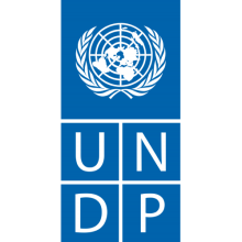 UNDP Logo