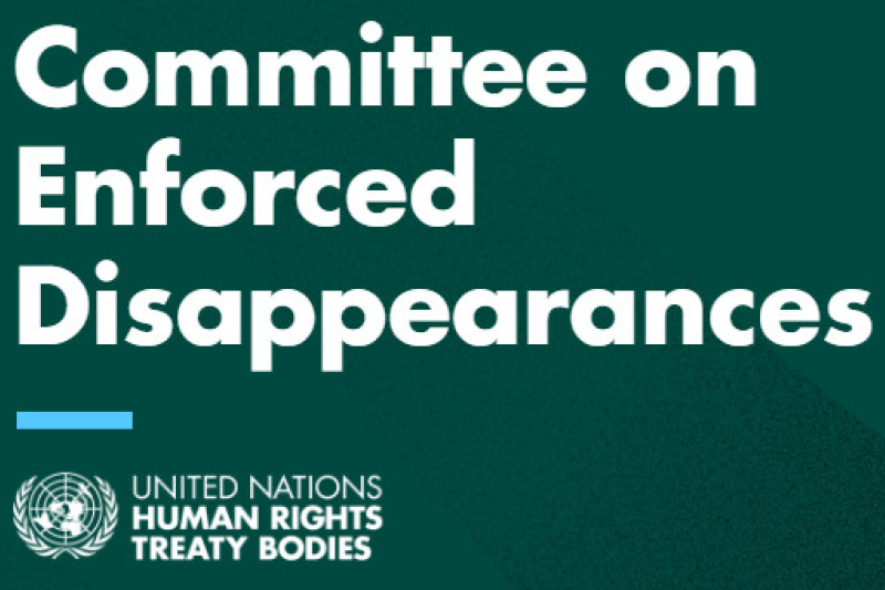 Play video for Committee on Enforced Disappearances (CED)