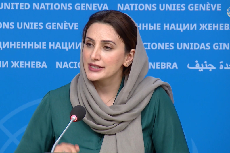 Play video for UN Geneva Press Briefing: WHO, UNHCR, WFP, IFRC, OHCHR, UN Women - 24.07.26