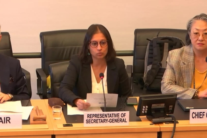 Play video for Committee on the Elimination of Racial Discrimination