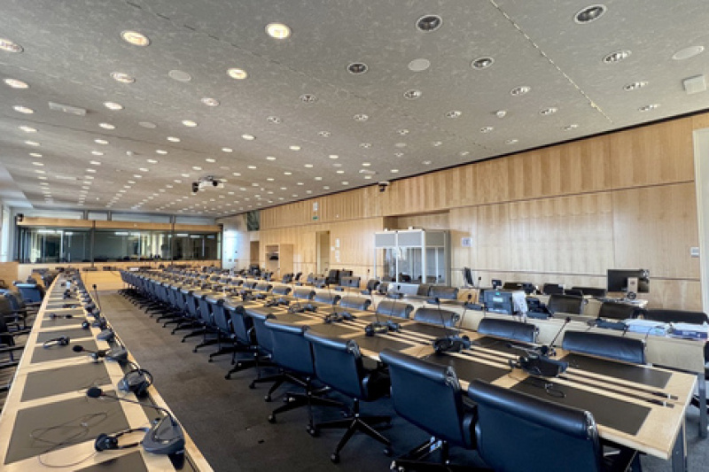 Play video for Comité des disparitions forcées (CED)