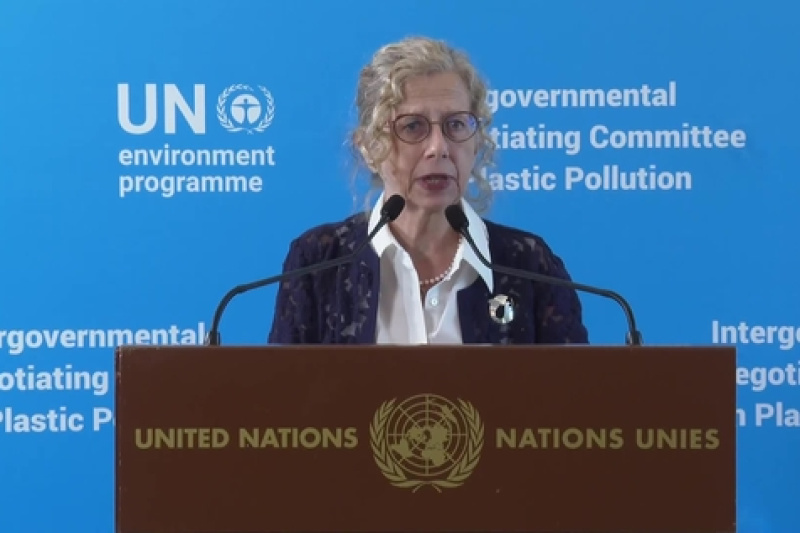 Play video for INC5 2 Plastic Pollution Conference: UNEP Executive director Inger Andersen Media Stakeout - 15.08.2025