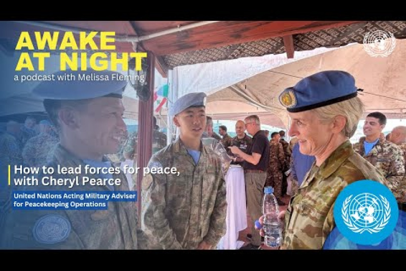 Play video for How to lead forces for peace, with Cheryl Pearce | Department of Peacekeeping Operations | Awake at Night