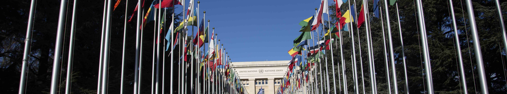 photo of the flags of Member States of the UN outside of UN Geneva