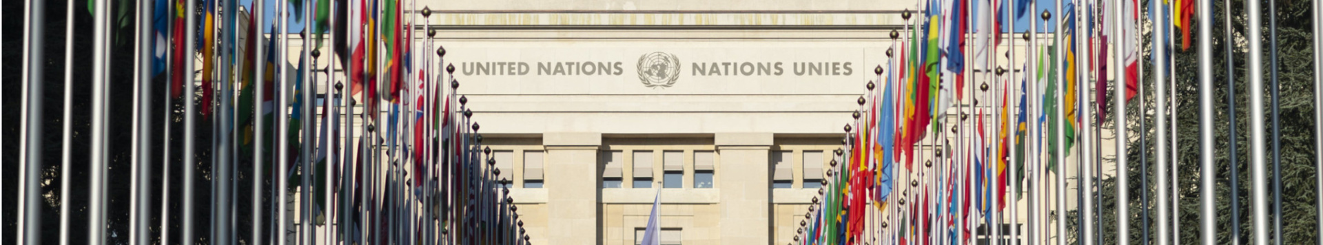 Alley of flags, Palais des Nations