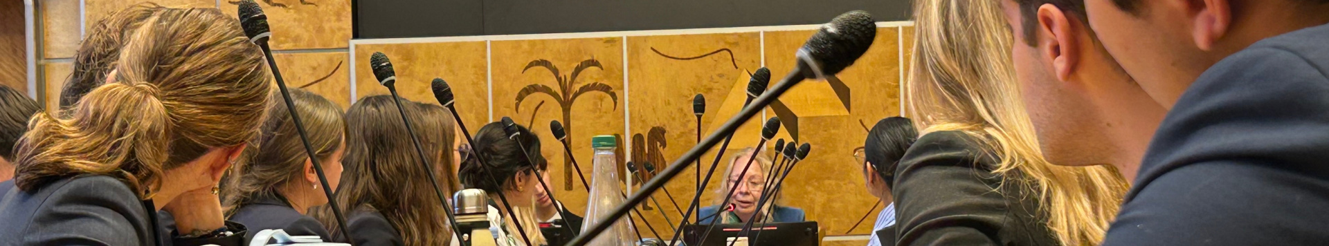 Meeting room with DG