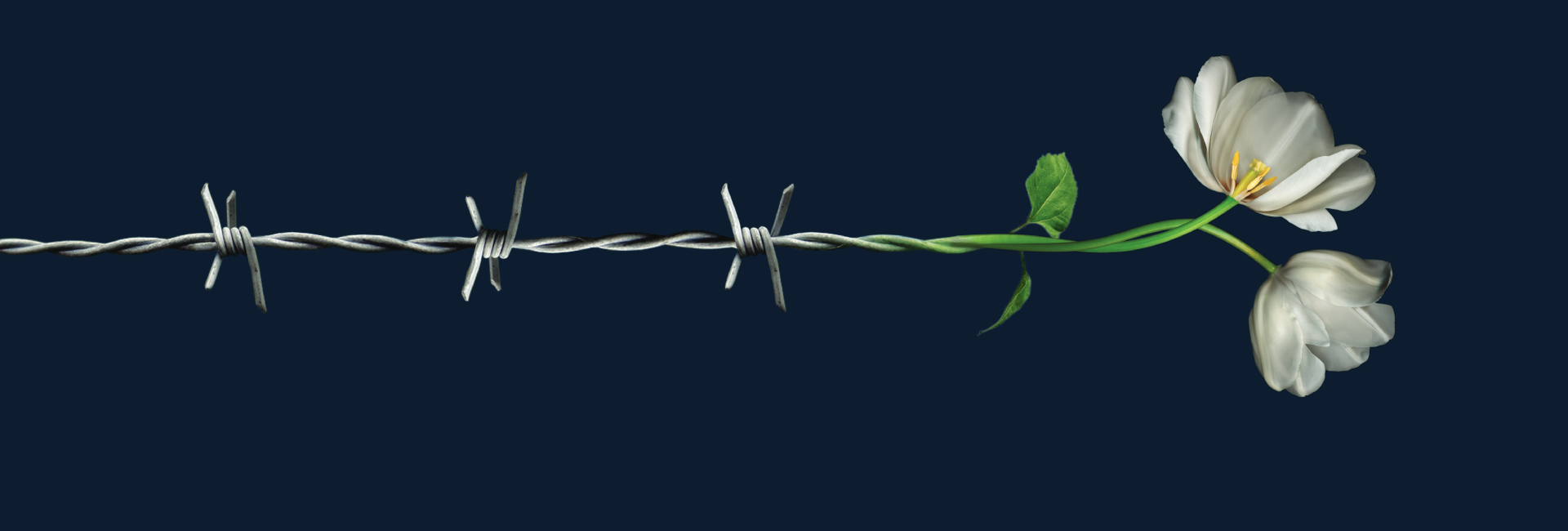 Holocaust Remembrance Day visual