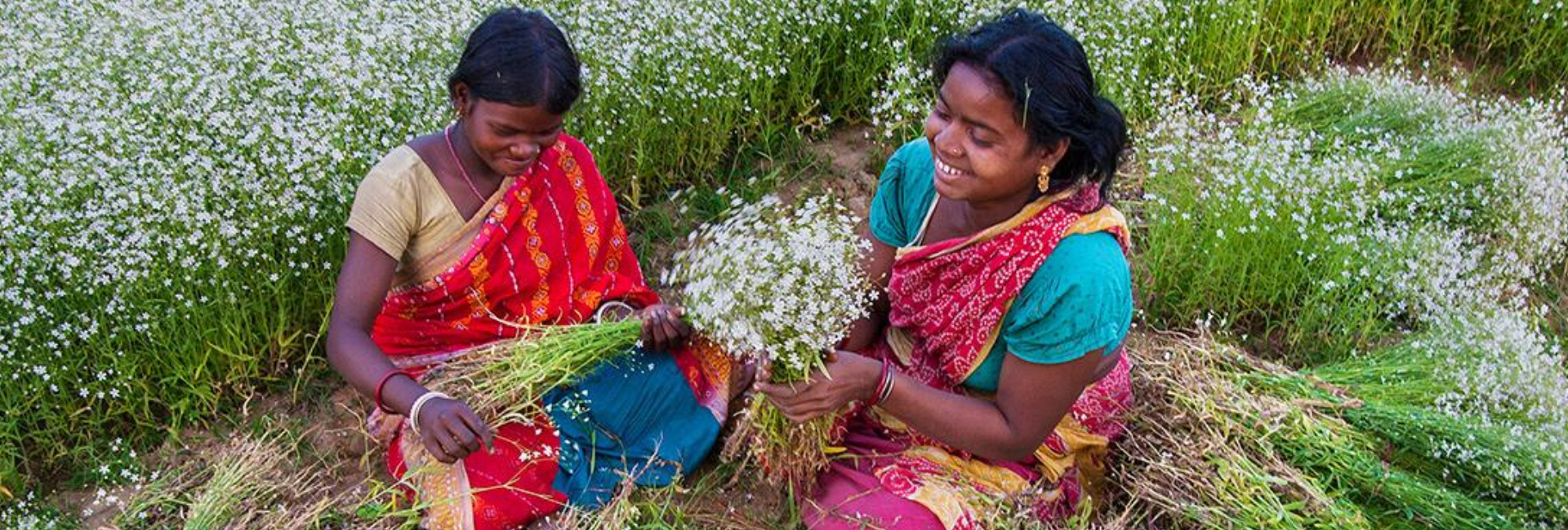 Two young women in a field create bouquets 