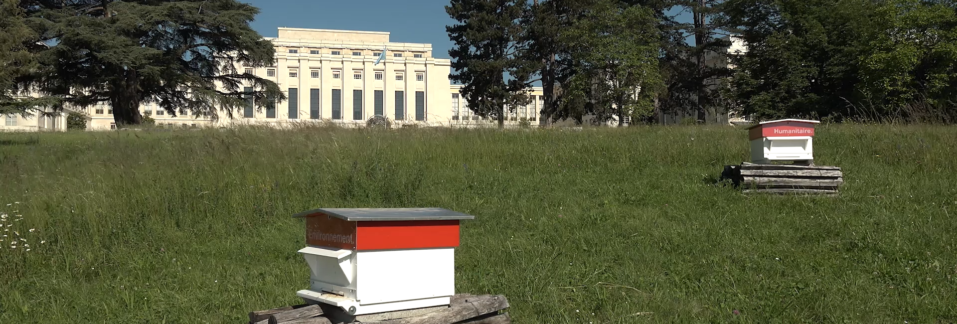Beehives in the Ariana Park at UN Geneva
