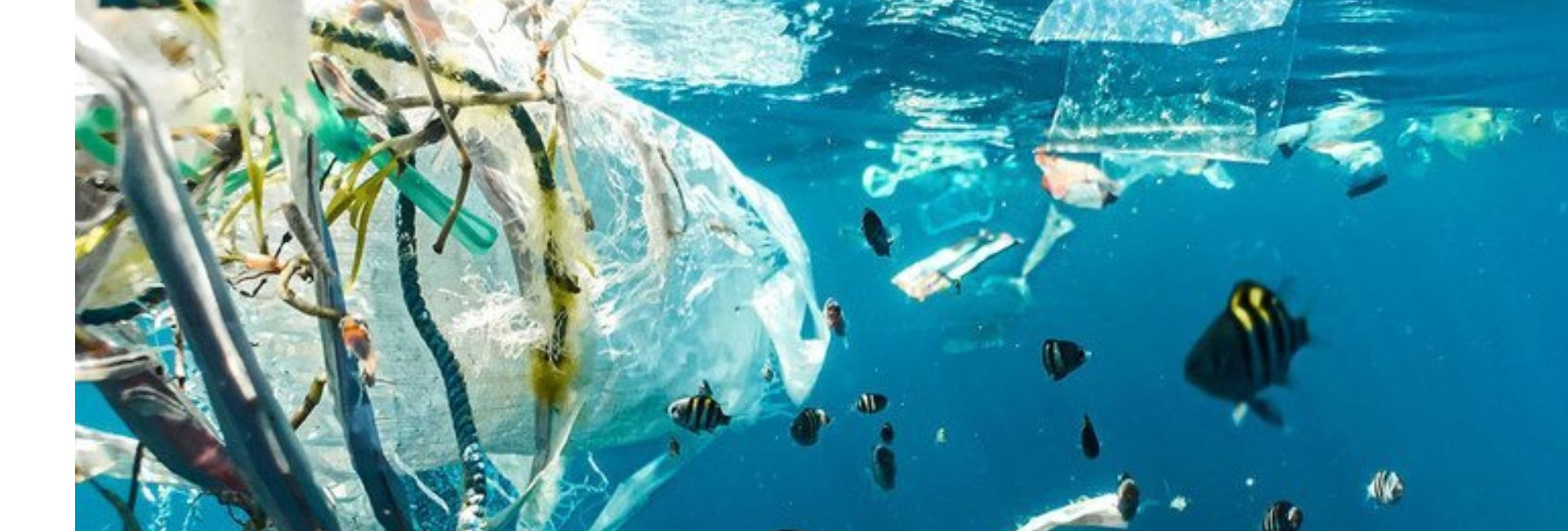 Plastic pollution