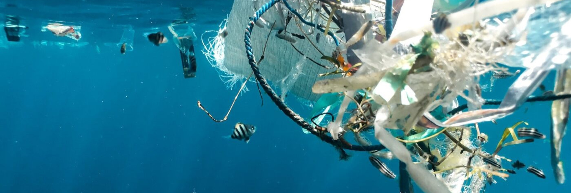 Plastic polution - UNEP